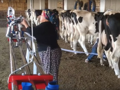 Kilit Arkası Sağım Sistemi