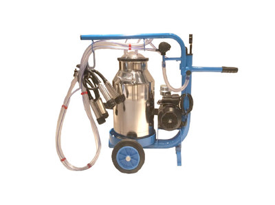 Tek Güğüm Tek Sağım