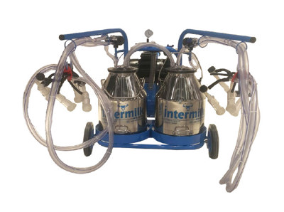 Çift Güğüm Dört Sağım