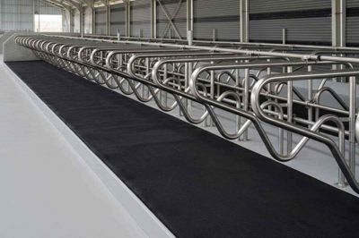 600 Plus Hayvan Yatağı