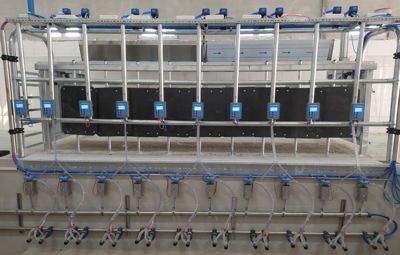 Koyun Sağım Sistemleri